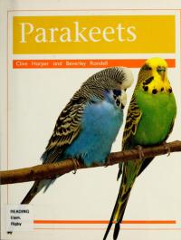 Parakeets