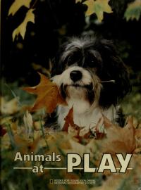 Animals at Play