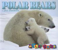 Polar Bears