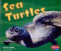 Sea Turtles