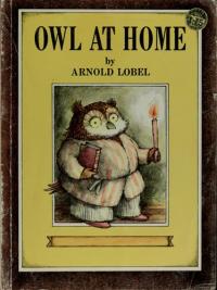 Owl at Home