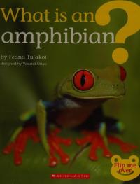 What is an Amphibian? What is a Reptile?