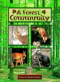 A Forest Community