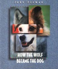 How the Wolf Became the Dog