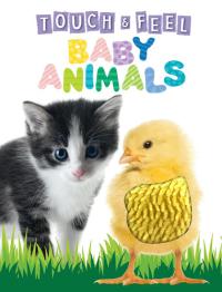 Baby Animals Touch and Feel