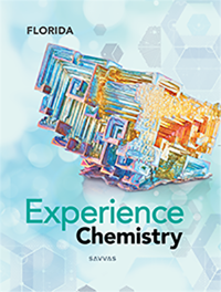 Florida Experience Chemistry ©2025