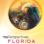 myPerspectives Florida English Language Arts Grade