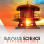 Florida Savvas Science Explorations ©2025, Comprehensive Course 3