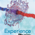 Florida Experience Physics ©2025