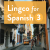 Lingco for Spanish 3: Florida Edition