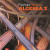 Florida Reveal Algebra 2